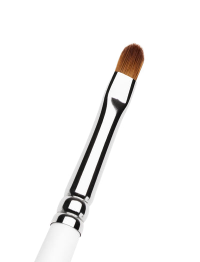Lip Brush