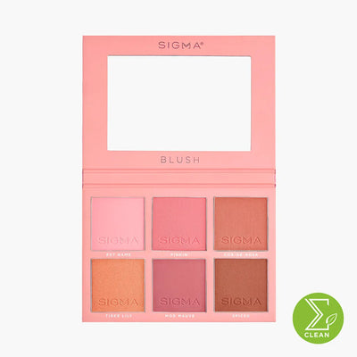 Blush Cheek Palette - Sigma - Victoria Roggio Beauty